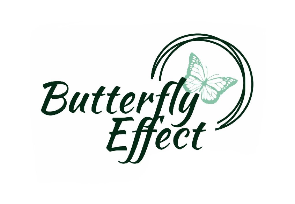 Butterfly Effect Logo